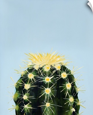 Colorful Cactus IV