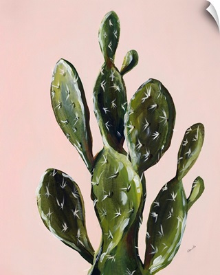 Colorful Cactus V