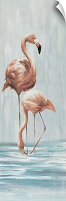 Flamingo Family II