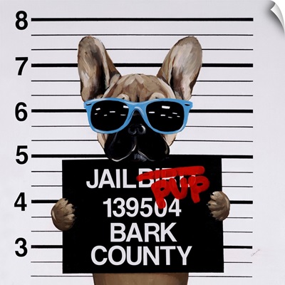 Jail Pup