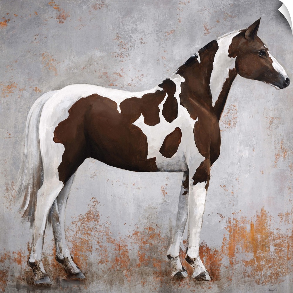 Contemporary portrait of a paint horse in profile.