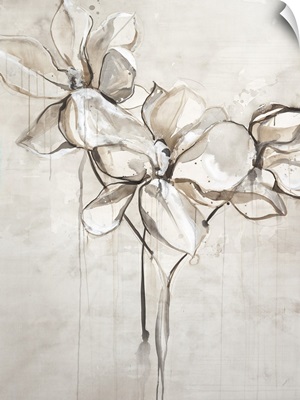 Magnolia Sketch