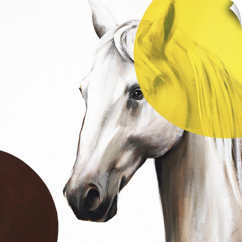 Square artwork with a white and brown toned horse and two large circles in the corners, one yellow and one brown.