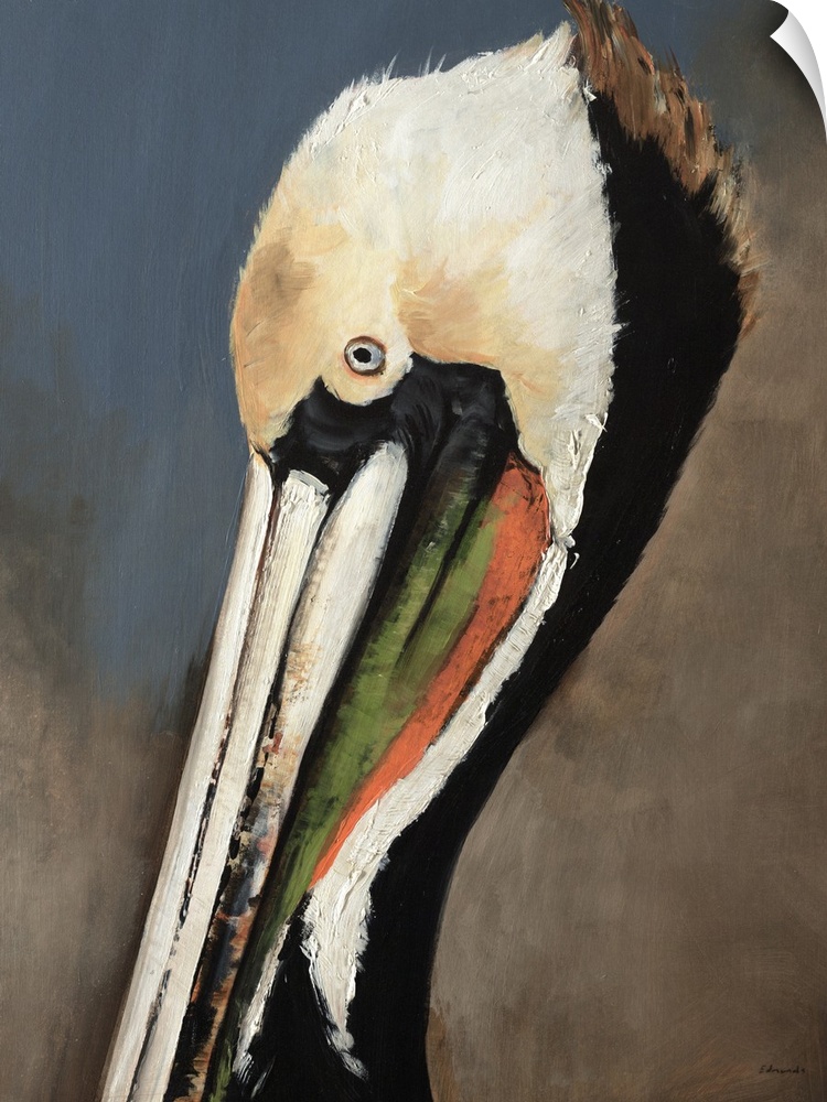 Contemporary portrait of the head and bill of a Brown Pelican in breeding plumage, a sea-faring bird known for its large t...