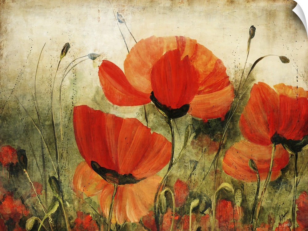 Contemporary artwork of delicate painted poppy flowers against a rustic background.