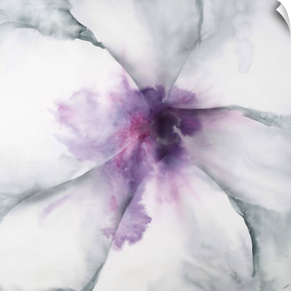 A contemporary abstract painting of an extreme close-up of a gray toned flower with a soft purple center.