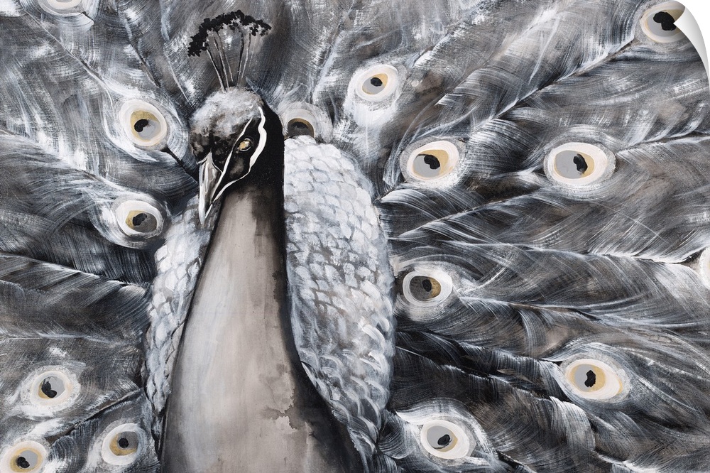 Artwork of a proud peacock with its tail fanned out in shades of grey.