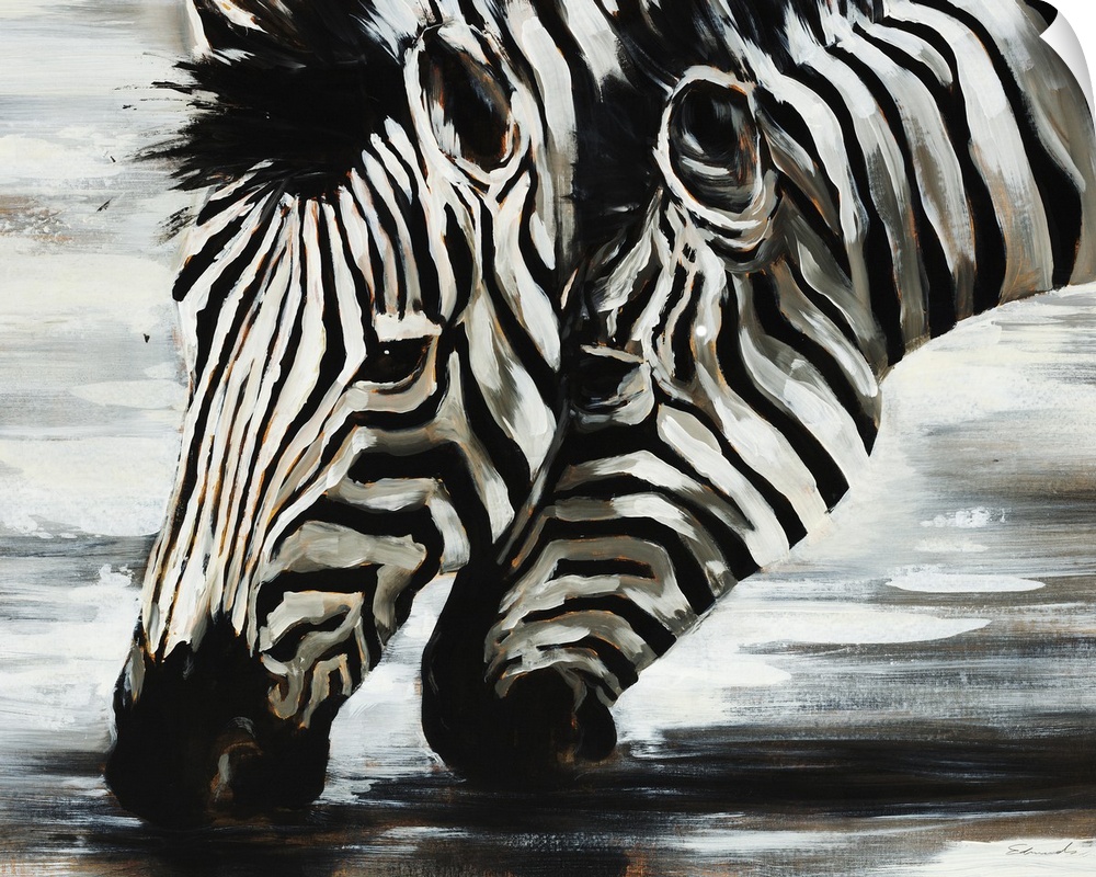 Giant, horizontal painting of two zebras heads as they are bent down to drink water, closely together.