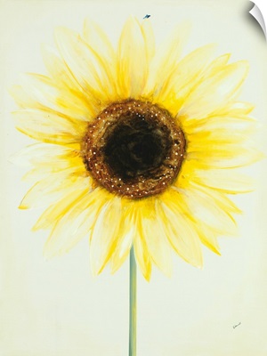 Subtle Sunflower