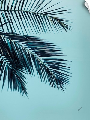 Tropical Palms III
