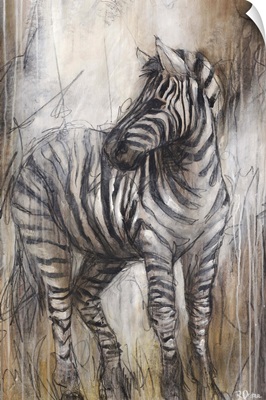 Zebra Study