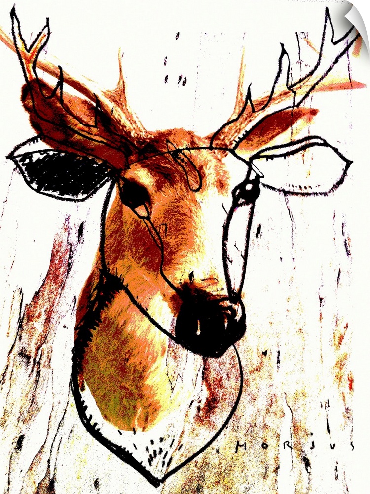 Deer head bust both photographed and drawn with pencil.