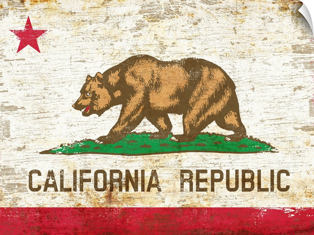 Worn and distressed California state bear flag