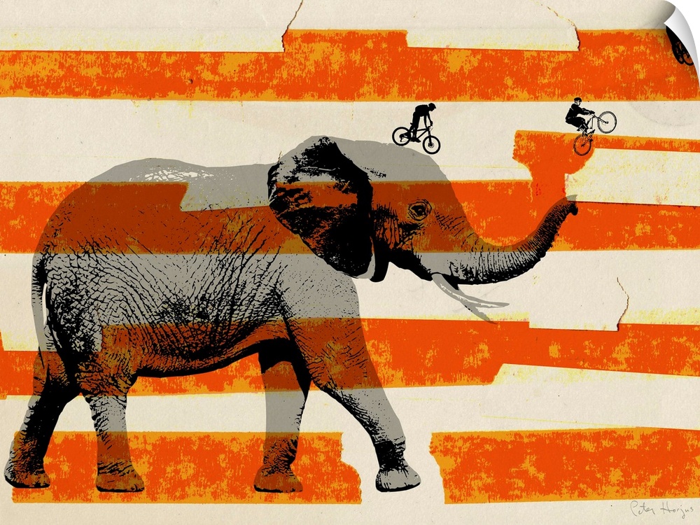 Large gray elephant in profile with bmx riders jumping off the elephant’s trunk with american flag stripes in the background.