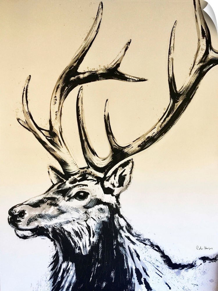 An ink wash painting of the head of a five point bull elk.