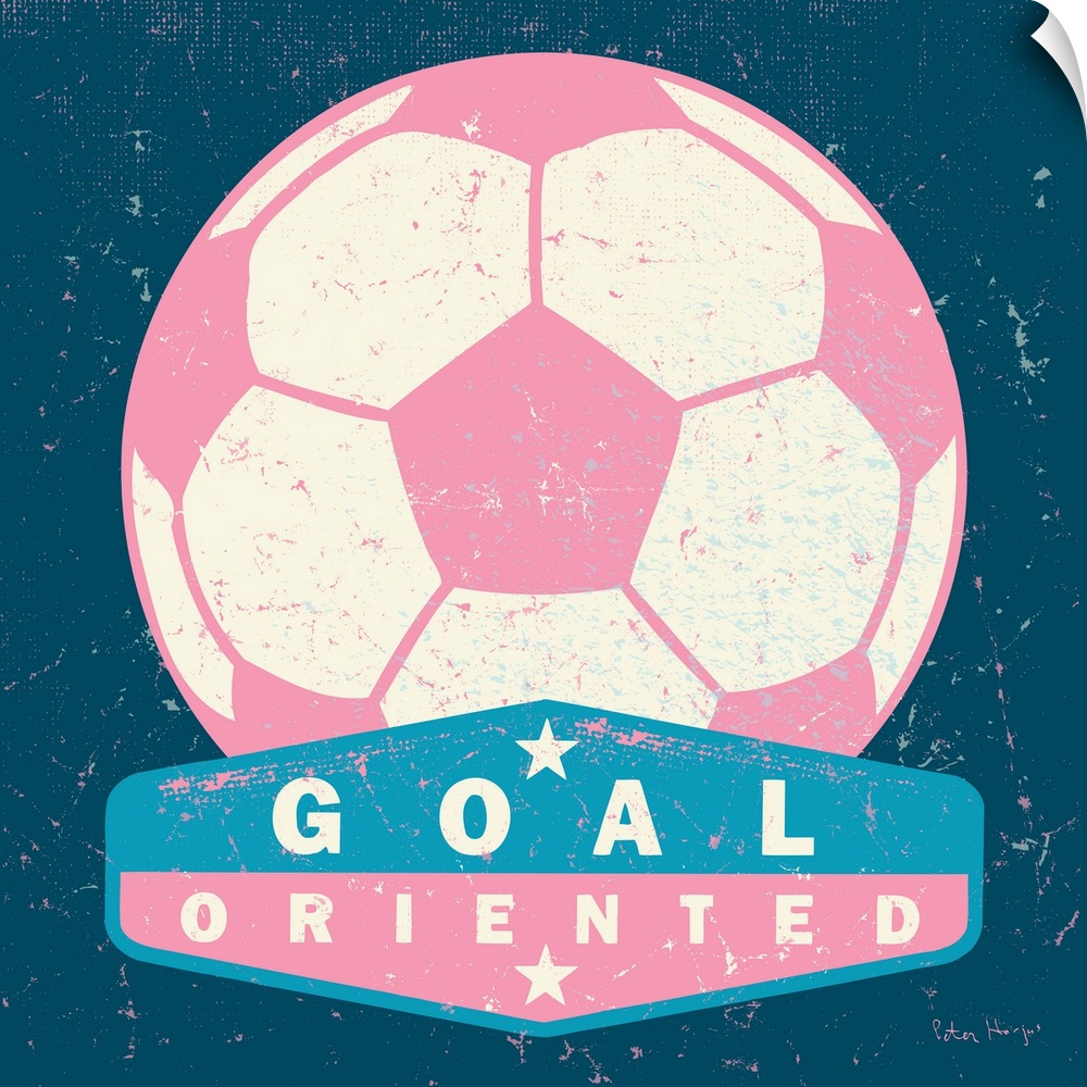 Distressed large pink soccer ball with a typography saying "Goal Oriented"