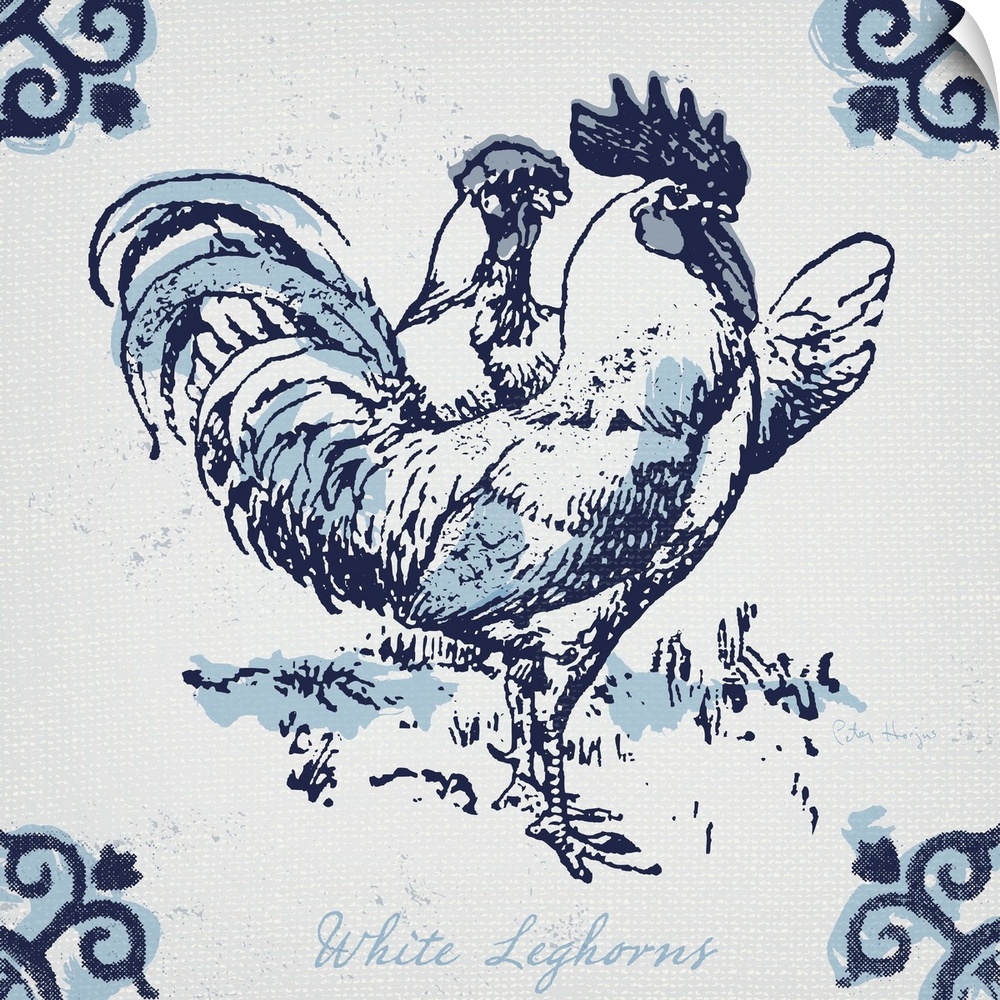 White leghorn chickens with typography in dutch blue