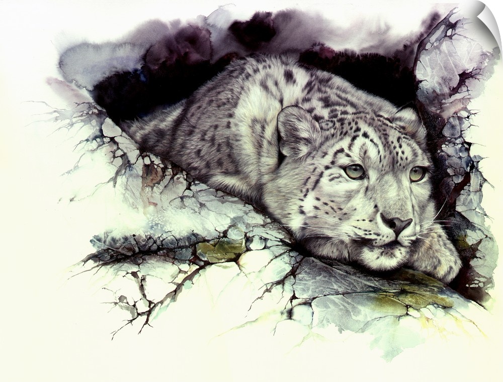 A snow Leopard surveys the outlook from a safe hide away. Originally created using watercolor and colored pencils.