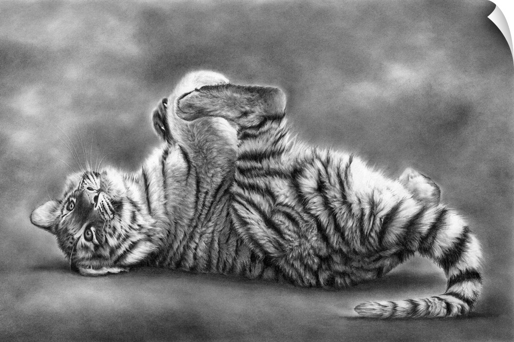A very young and playful tiger cub, created with graphite pencils on paper.