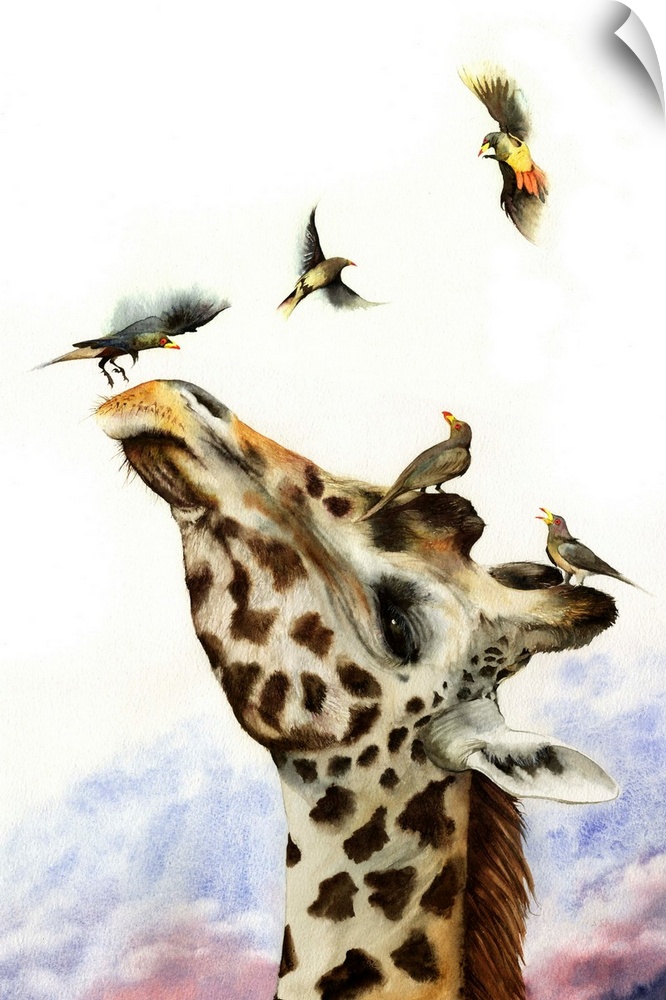 A watercolour painting of a giraffe being pestered by ox-peckers