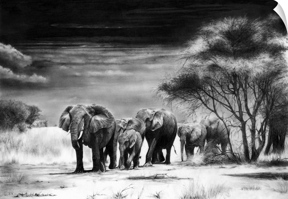 A herd of African elephants calmly approaching a waterhole, created with graphite pencils on paper.