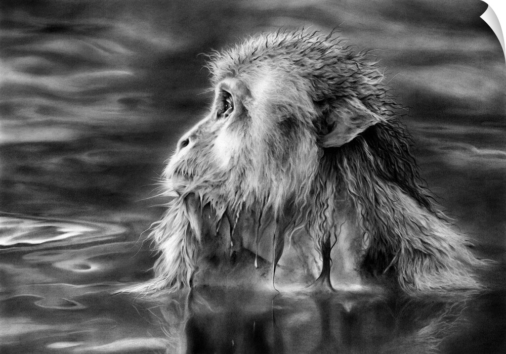 Pencil on Stonehenge paper of a Snow Monkey soaking in a hot volcanic pool.