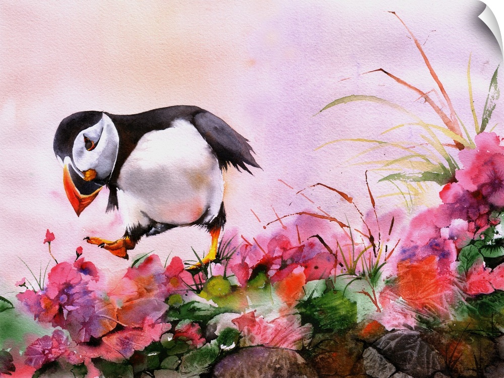 A dancing Atlantic Puffin in amongst wild flowers, foliage and rocks.