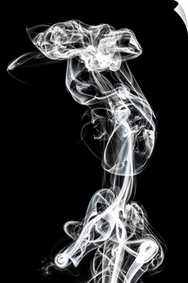 Abstract White Smoke - Chimera Woman
