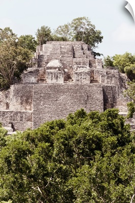 Ancient Maya City within the jungle of Calakmul IV