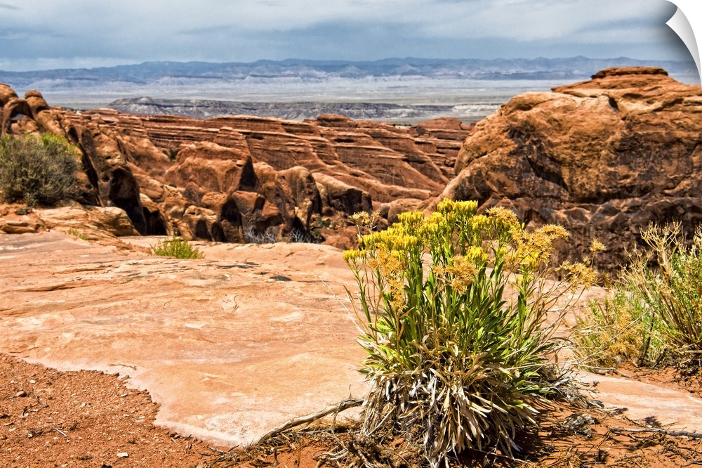 The rocky desert landscape of Arches National Park in Moab, Utah.