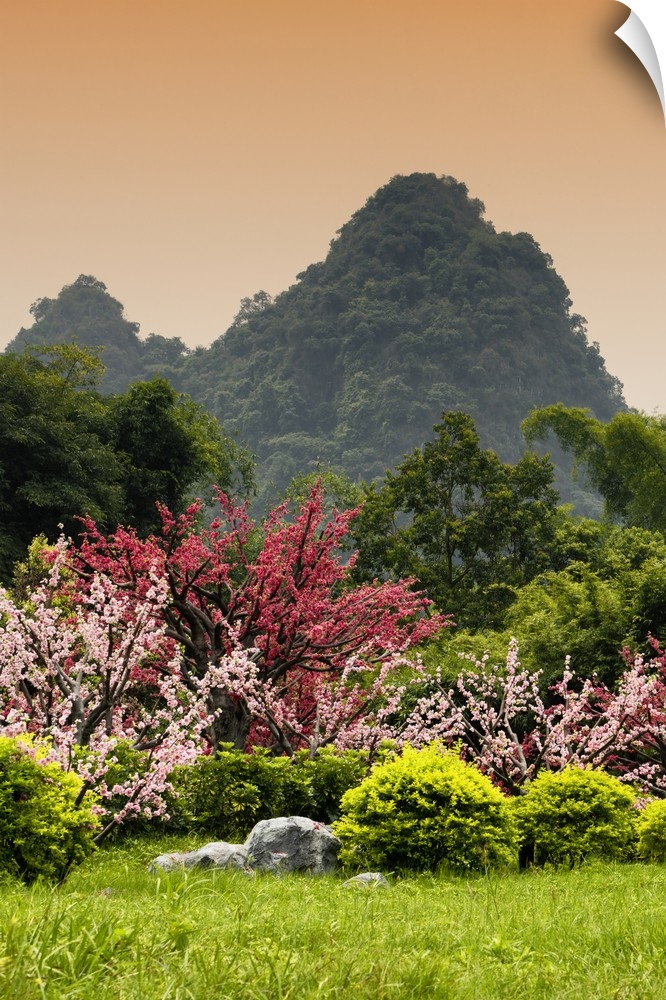Beautiful Asian Garden, China 10MKm2 Collection.