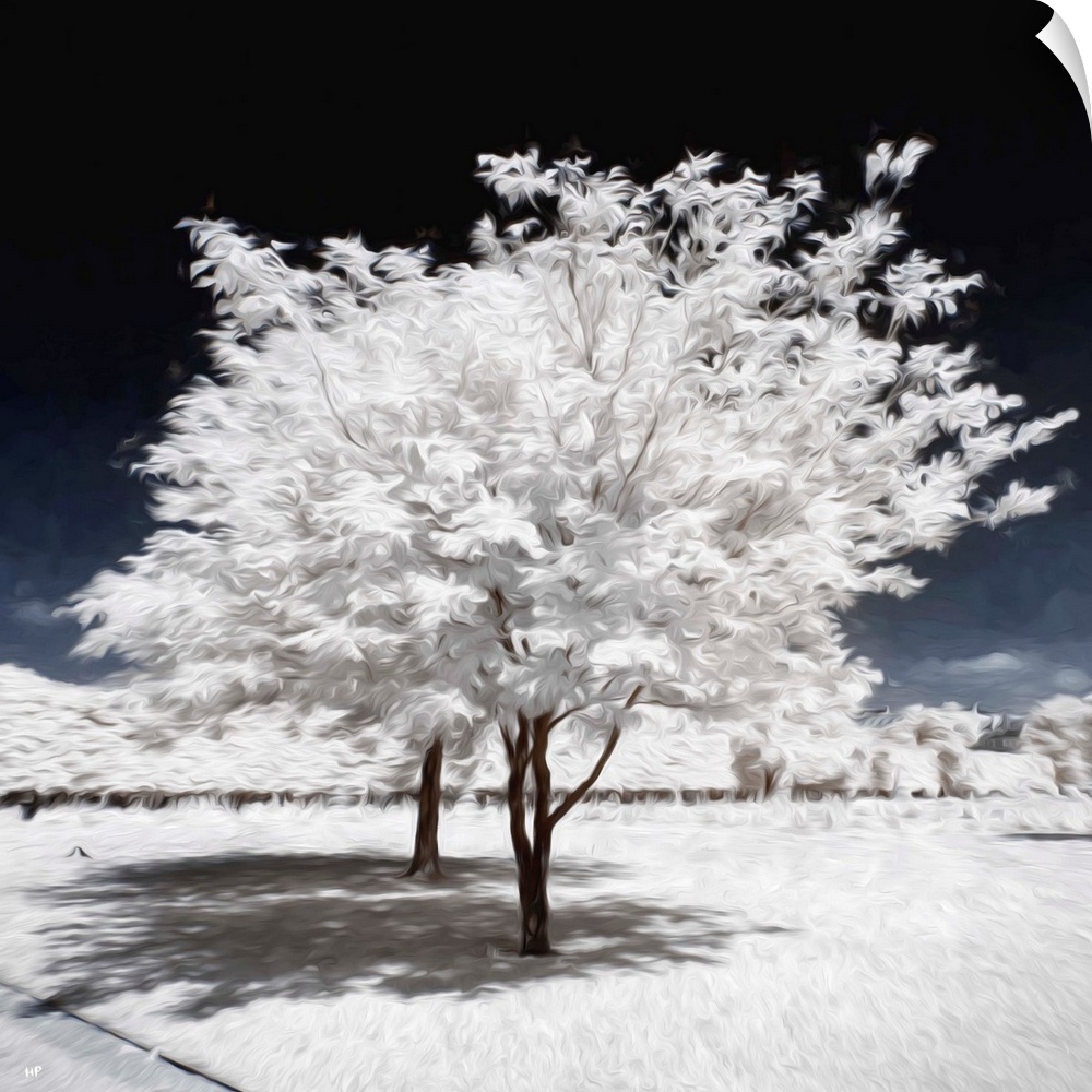 Infrared photograph with a painterly effect of Paris.