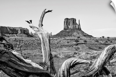 Black And White Arizona Collection - Amazing Monument Valley