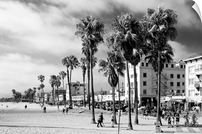 Black And White California Collection - Venice On The Beach
