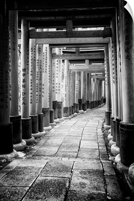 Black And White Japan Collection - Between Torii