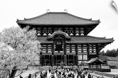 Black And White Japan Collection - Todaiji Temple