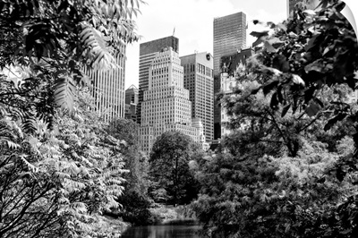Black And White Manhattan Collection - Central Park