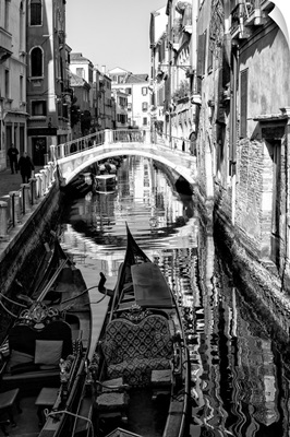 Black Venice - City Of Bridges