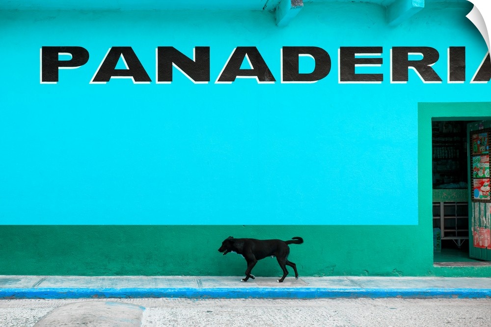 Photograph of a stray black dog walking down the sidewalk in front of a bakery with blue exterior walls. From the Viva Mex...