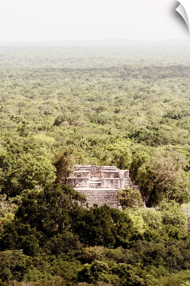 Aerial photograph of Calakmul, an ancient Mayan city, Mexico. From the Viva Mexico Collection.