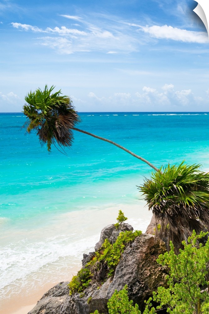 Photograph of a relaxing Caribbean beach scene in Tulum, Mexico with a leaning palm tree. From the Viva Mexico Collection.
