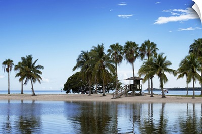 Coastal Beach Landscape, Miami