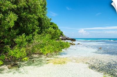 Coastline Paradise in Isla Mujeres