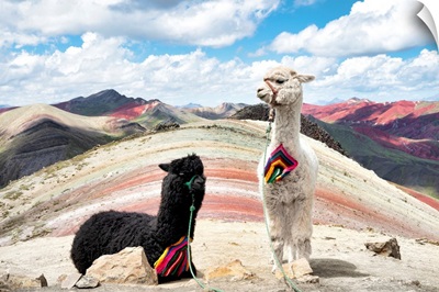 Colors Of Peru - Black And White