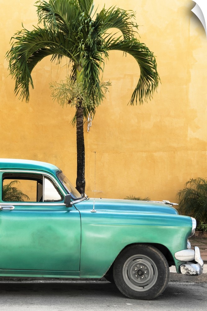Photograph of the front half of a vintage green car in front of a palm tree and an orange wall in Havana.
