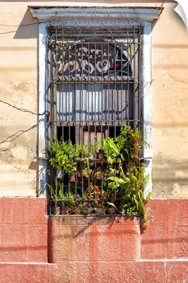 Cuba Fuerte Collection - Cuban Window