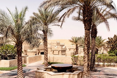 Desert Home - Among The Palm Trees