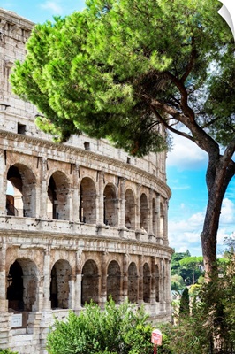 Dolce Vita Rome Collection - The Colosseum Rome