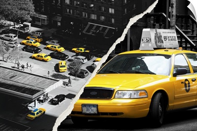 Dual Torn Series - Yellow Cabs