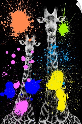 Giraffes II